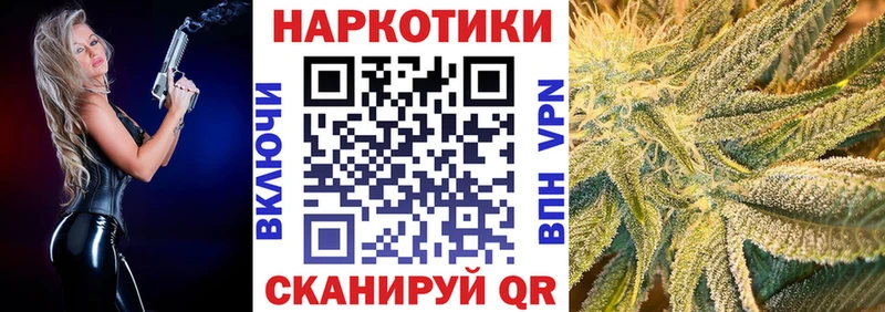 Где купить наркоту Снежногорск Псилоцибиновые грибы  COCAIN  НБОМе  МДМА  Канабис  Меф мяу мяу  ГАШИШ 