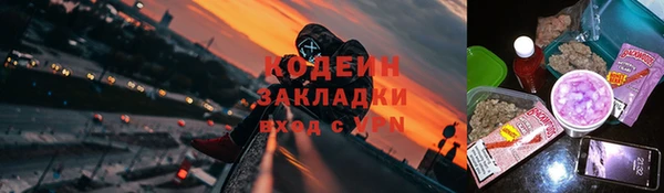 молекула духа Козловка