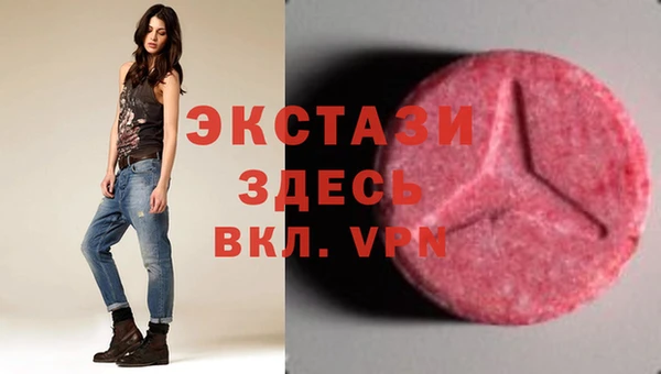 молекула духа Козловка