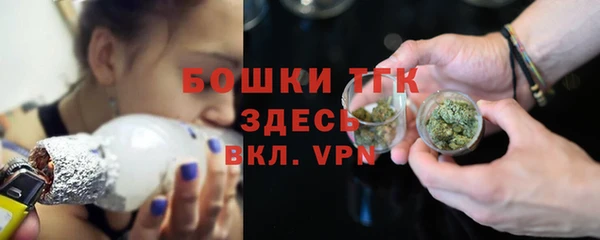 молекула духа Козловка