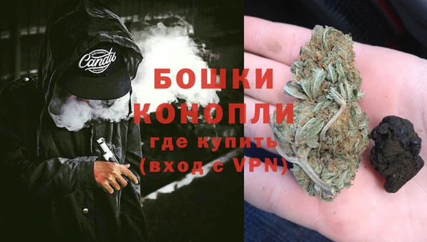 молекула духа Козловка